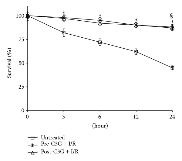 Figure 11