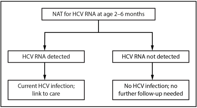 Figure is a flow chart illustrating the primary algorithm for hepatitis C virus testing of perinatally exposed children in the United States in 2023.