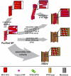 Fig. 6.