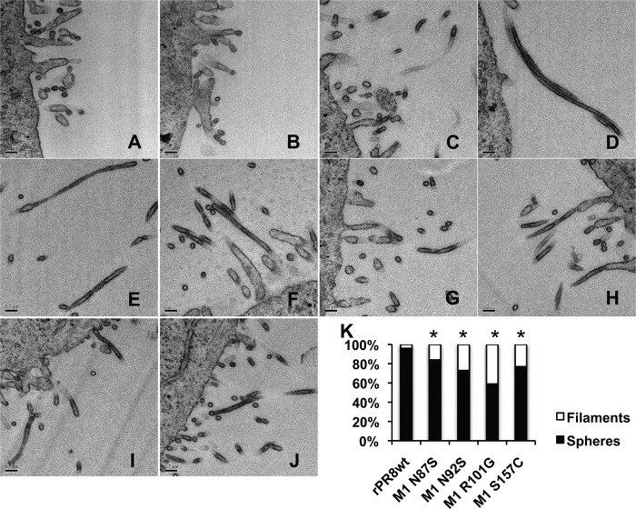 Fig 10