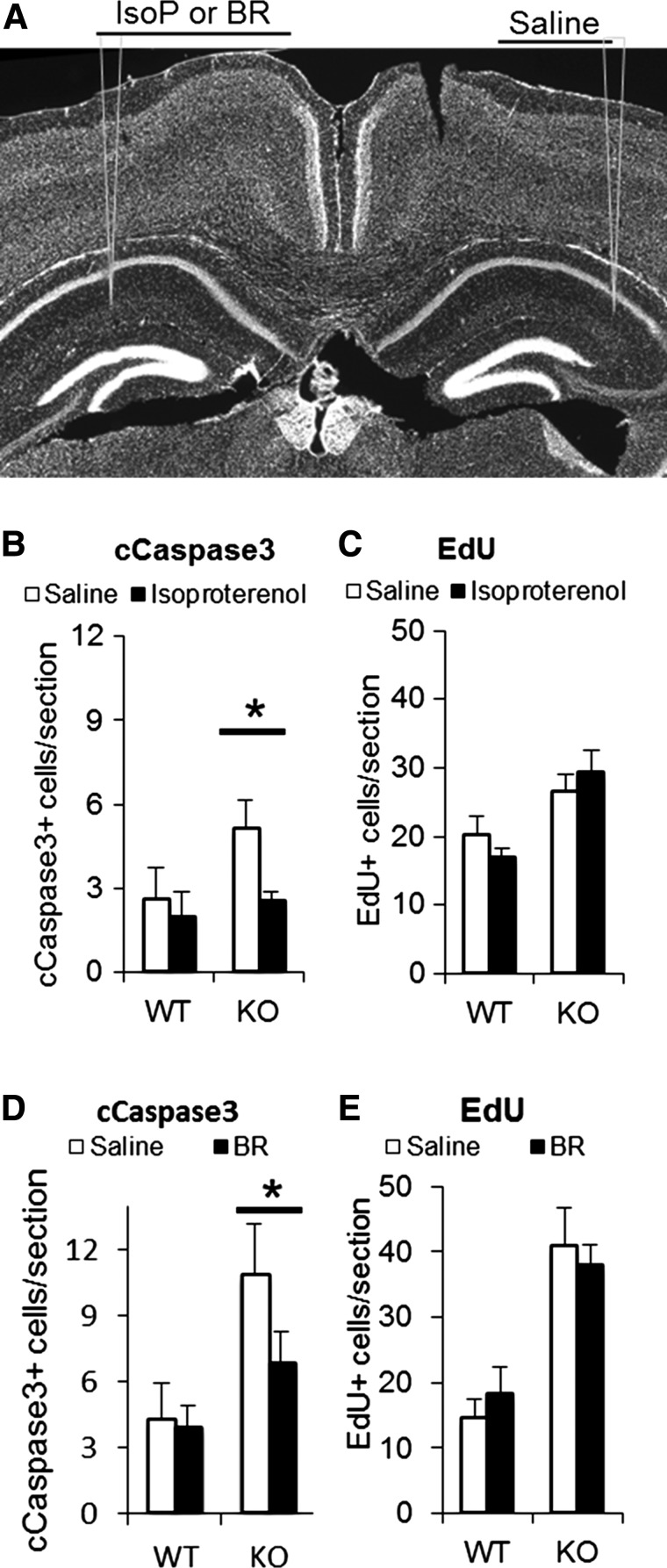 Figure 10.