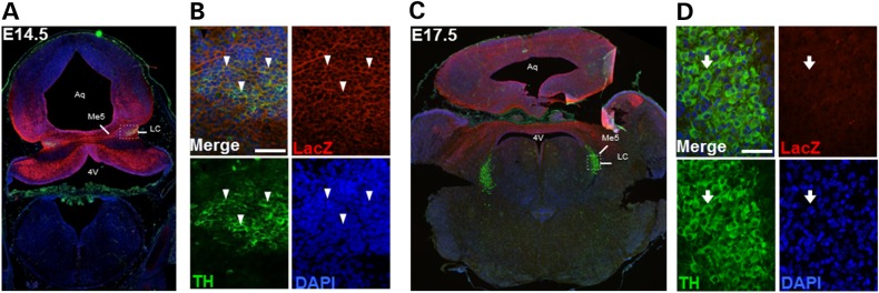 Figure 3.