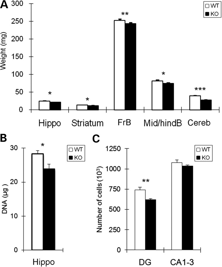 Figure 5.