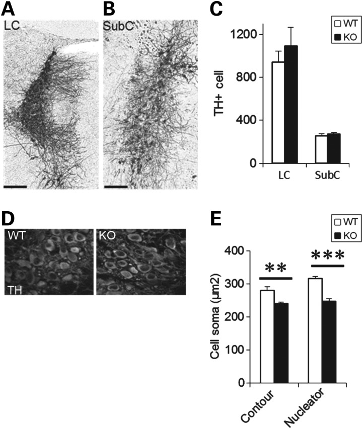 Figure 4.