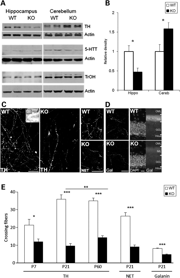 Figure 2.