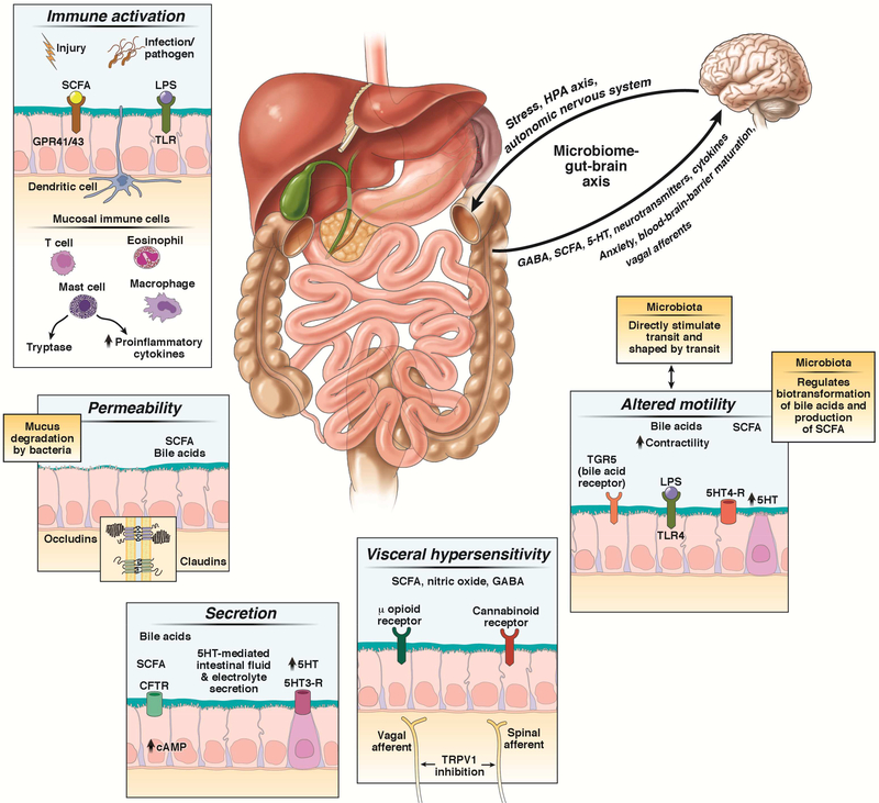 Figure 3: