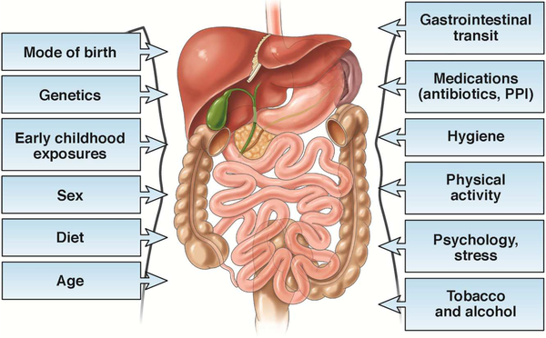 Figure 1: