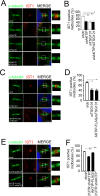 Fig 9