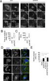 Fig 10