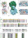 Extended Data Fig. 7 |