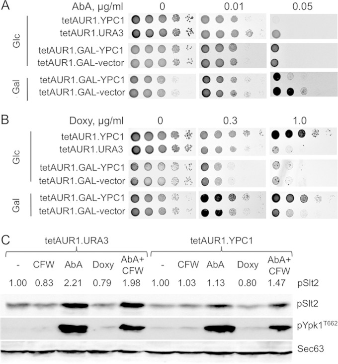 FIG 3