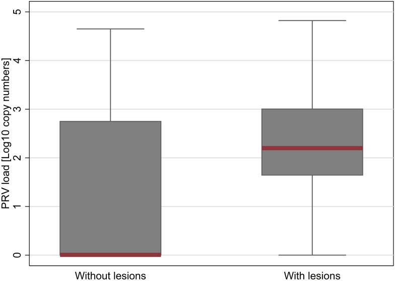 Fig 10