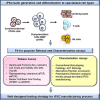 Image, graphical abstract