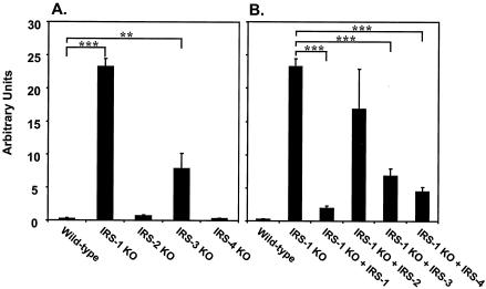 FIG. 8.