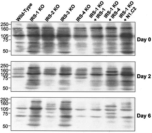 FIG. 9.