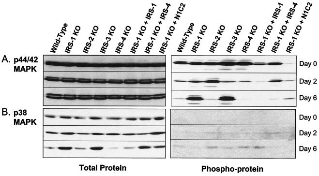 FIG. 10.