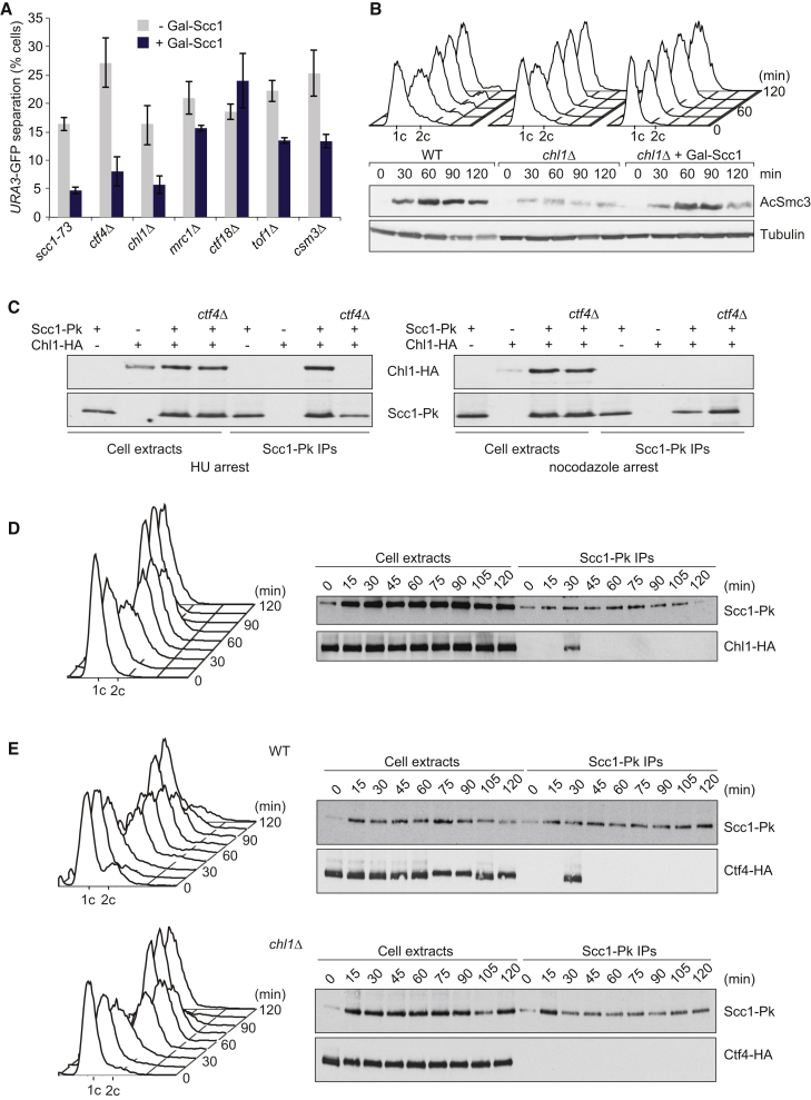 Figure 7