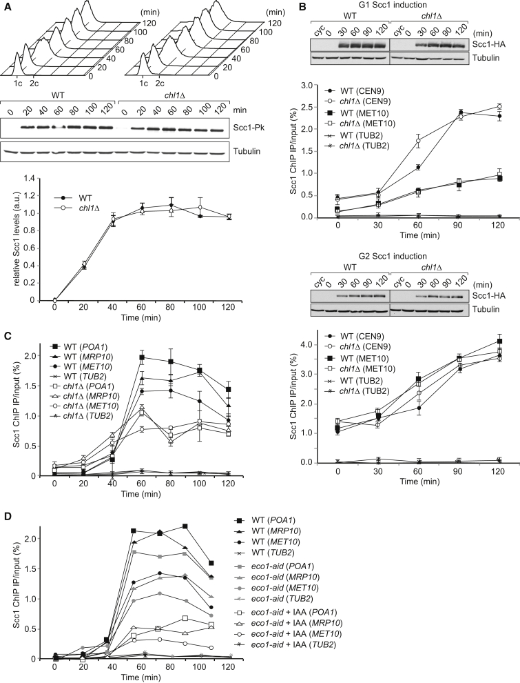 Figure 6