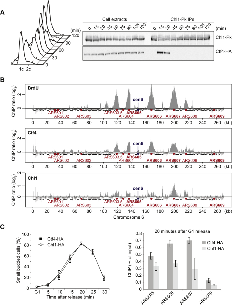 Figure 1