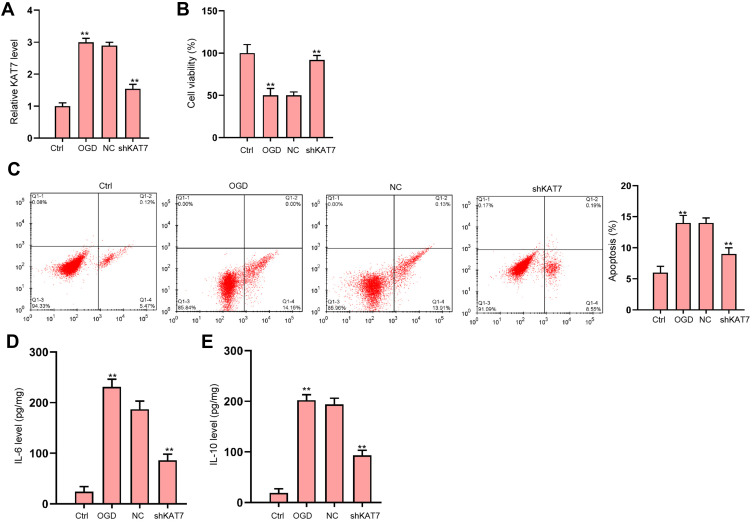 Figure 6