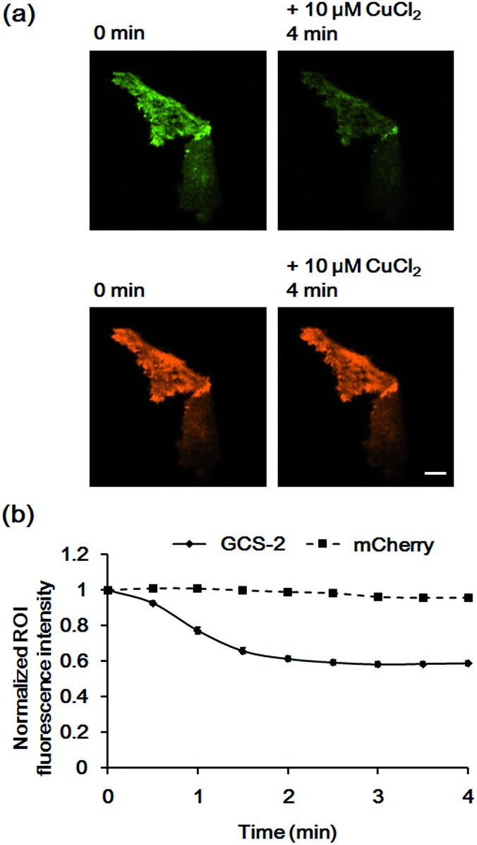 Fig. 7