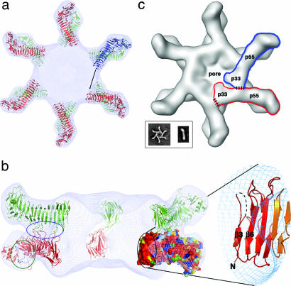 Fig. 4.