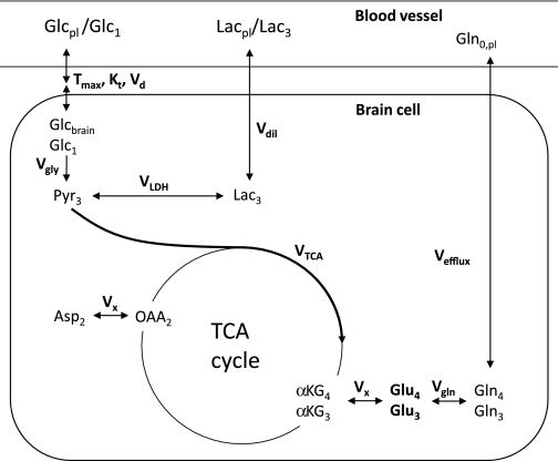 FIG. 1.