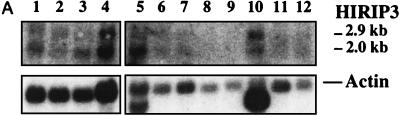 FIG. 7