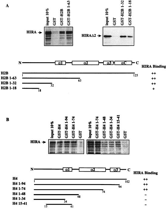 FIG. 6