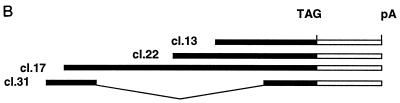 FIG. 7