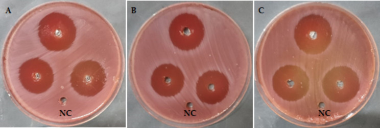 Fig. 2