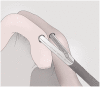 Fig. 9