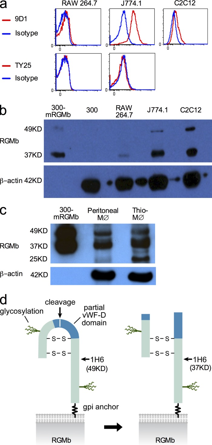 Figure 3.