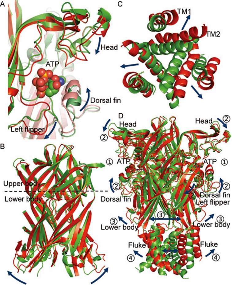 Figure 4