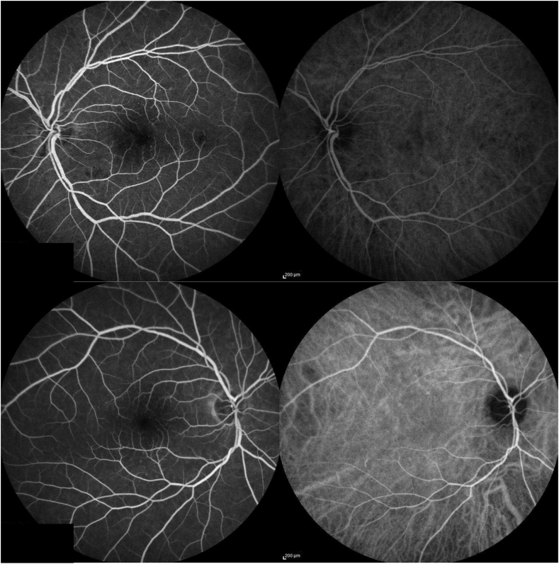 Fig. 5