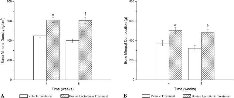 Fig. 3A–B