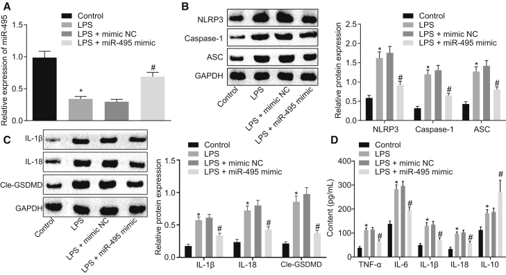 Figure 4