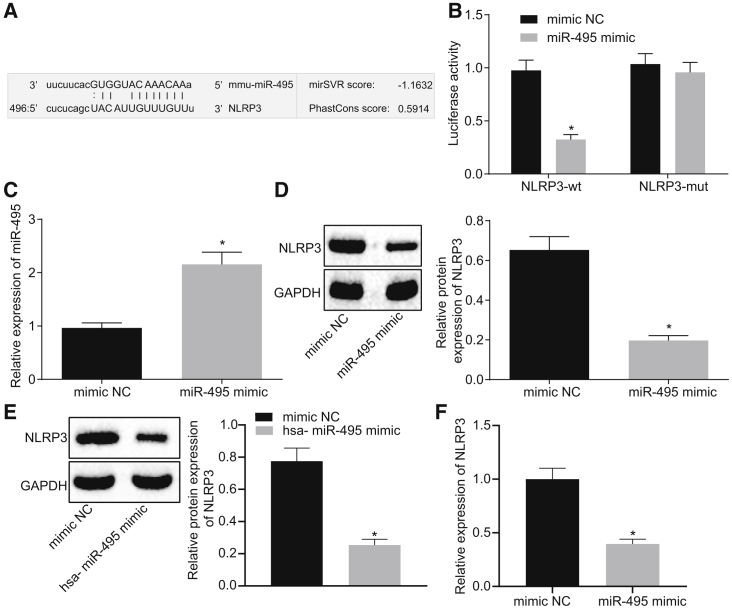 Figure 2