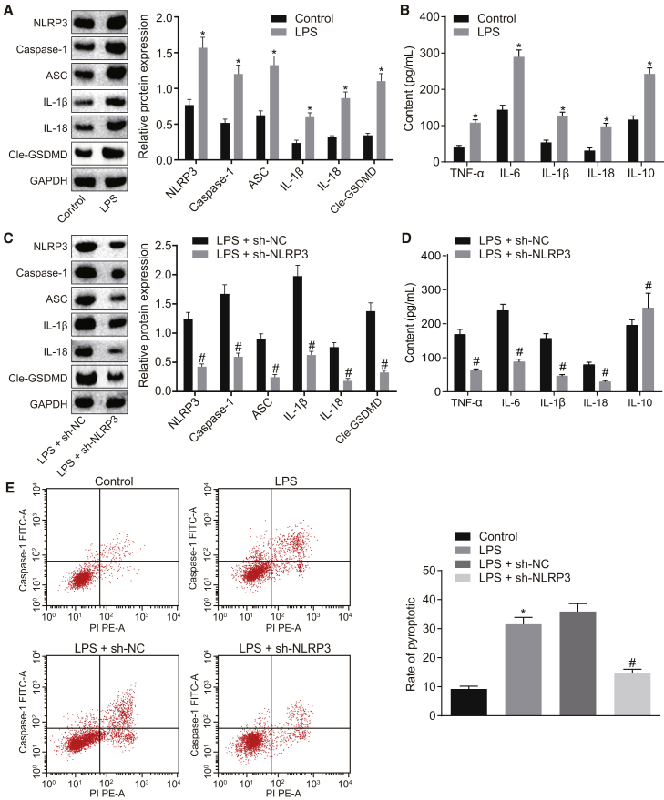 Figure 1