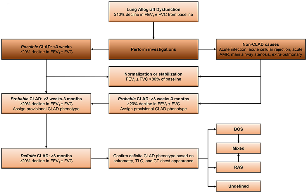 An update on current treatment strategies for managing bronchiolitis ...