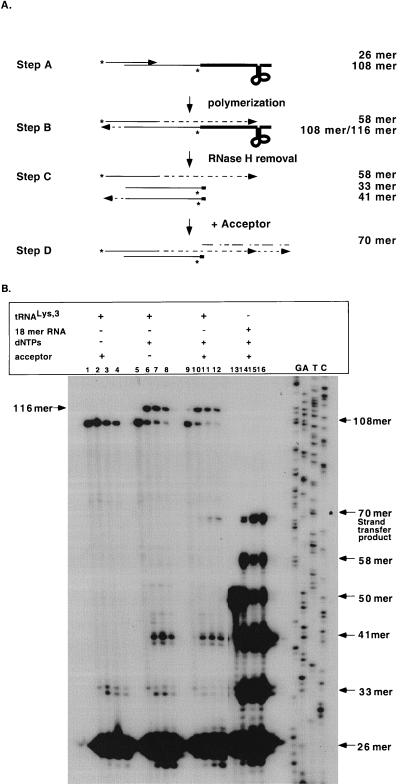 FIG. 5