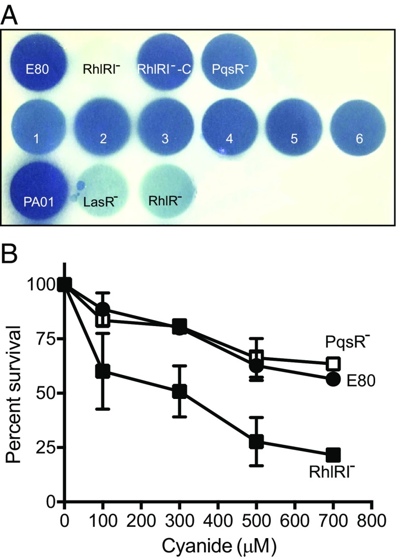 Fig. 6.