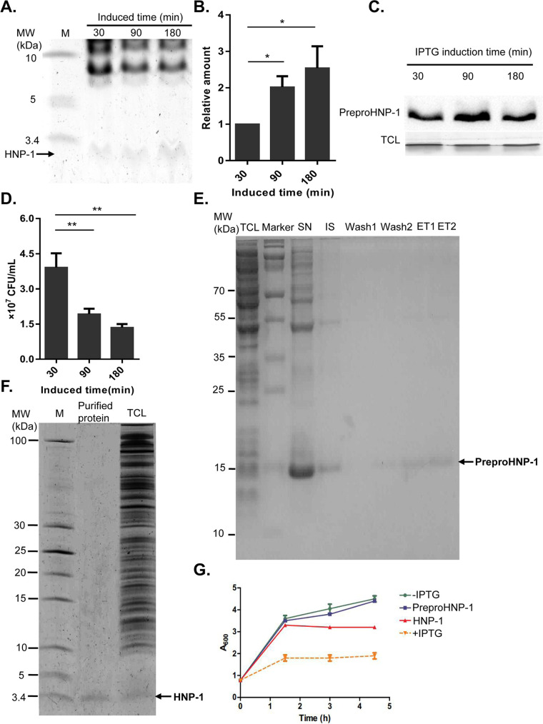 FIG 2