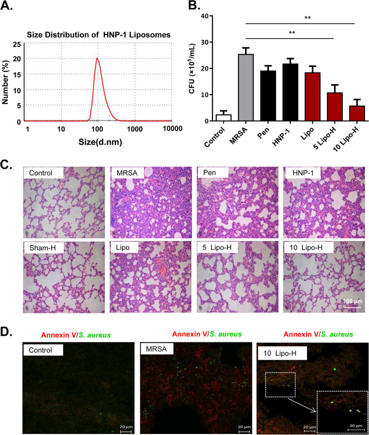 FIG 6