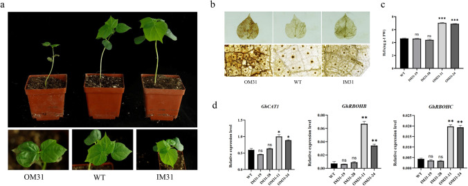 Fig. 5