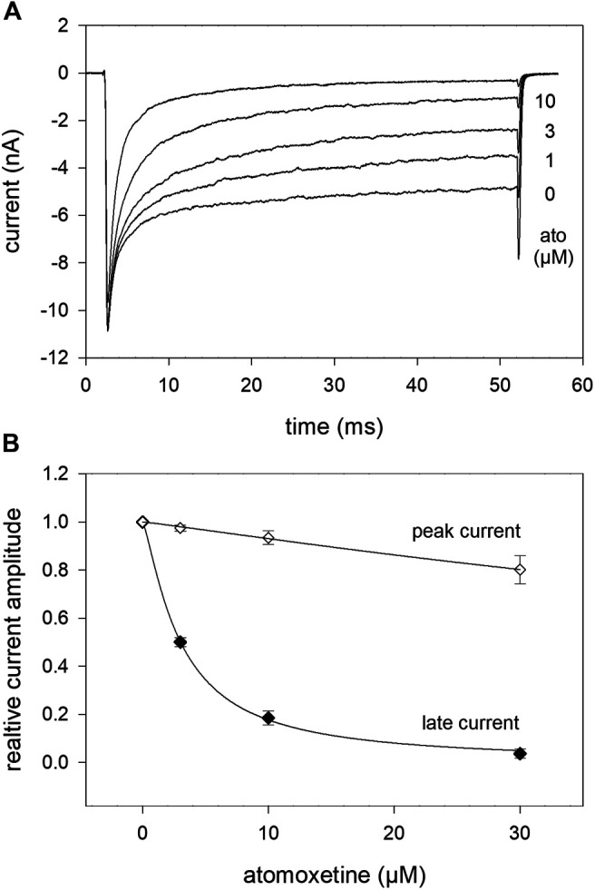 FIGURE 10