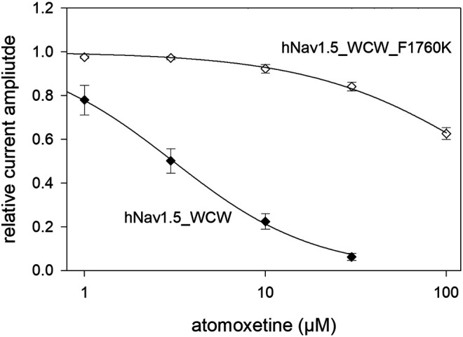 FIGURE 11