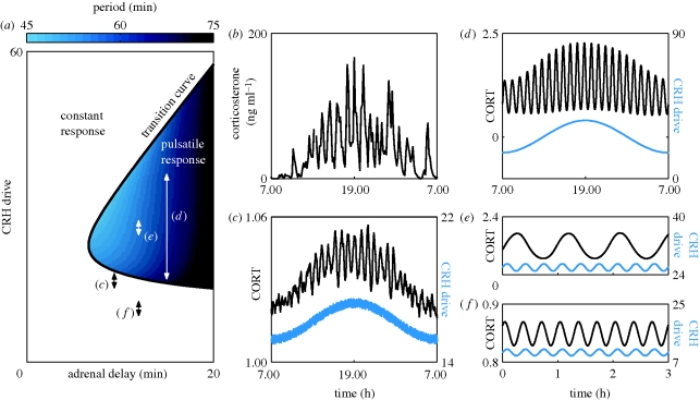 Figure 5.