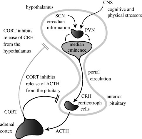 Figure 1.