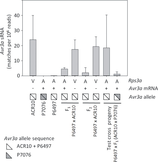 Fig 7